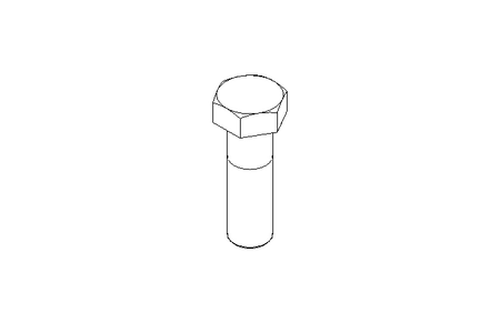 Tornillo cab. hexag. M24x80 A2 70