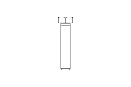 Vite a testa esagonale M12x60 12,9