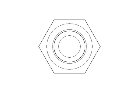 Hexagon screw M10x110 A5 70 ISO4017