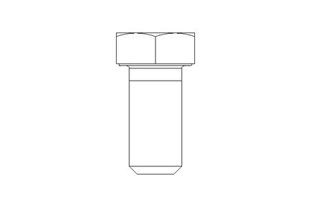 Tornillo cab. hexag. ISO4017 M12x25 A2