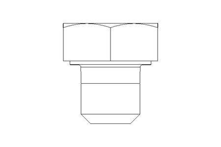 Hexagon screw M5x5 A2 70 ISO4017