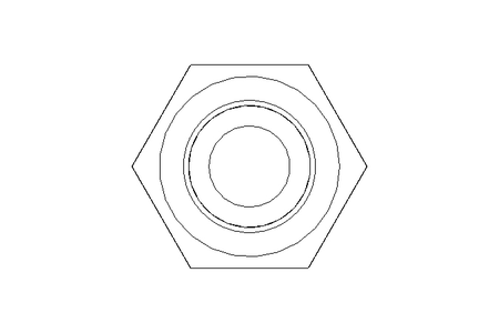 Tornillo cab. hexag. M6x30 A2 70 ISO4017