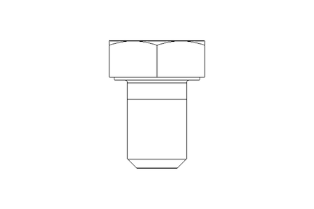 БОЛТ С ШЕСТИГРАННОЙ ГОЛОВКОЙ