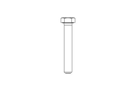 Tornillo cab. hexag. M10x65 A2 70