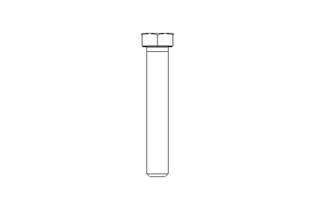 Tornillo cab. hexag. M16x100 8,8 ISO4017