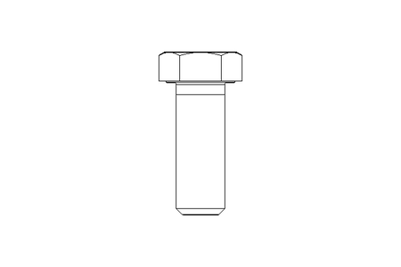 Tornillo cab. hexag. M20x55 A2 70