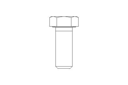 Vite a testa esagonale M24x60 8,8