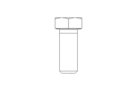 Tornillo cab. hexag. M24x60 8,8 ISO4017