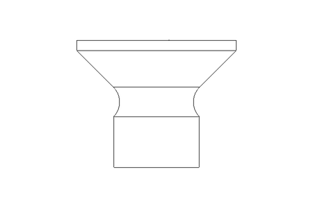 Countersunk head screw