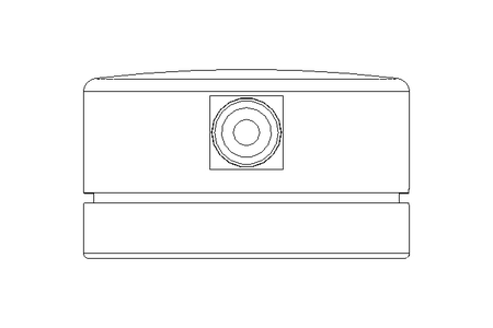 Manometer Typ 213.40 -1 /+ 0,6 bar