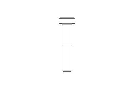 Zyl-Schraube M8x40 A2 70 DIN7984