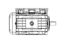 Worm Gear