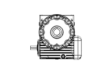 Worm Gear