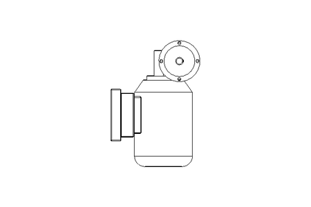 Worm gear motor 0.12kW 113 1/min