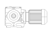 螺杆齿轮速电机 0,25kW 18 1/min