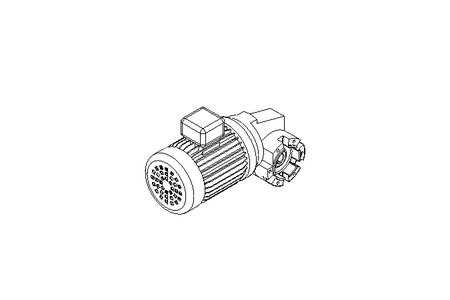 Motor engrenagem sem fim 0,25kW 14 1/min