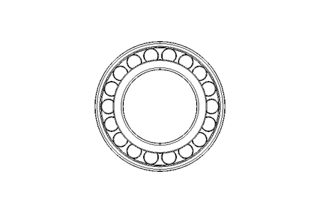 Cuscin.a rulli cilindrici N216 A1f. 80