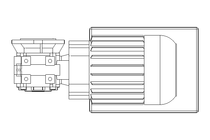 WORM GEAR MOTOR