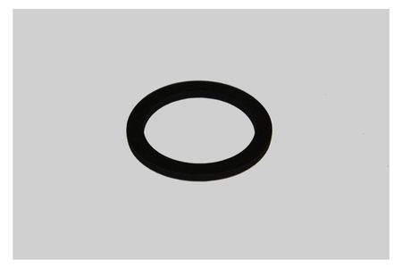 SEALING RING 0482000020