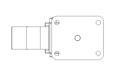 Lenkrolle 100x40 350kg