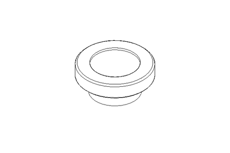 Schauglas DN 80 1.4404