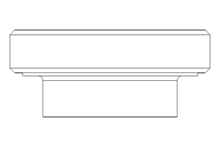 Schauglas DN 80 1.4404