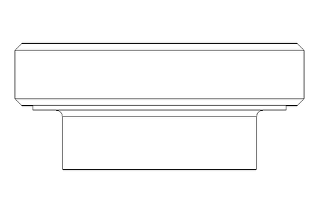 Schauglas DN 80 1.4404