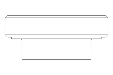 Schauglas DN 80 1.4404