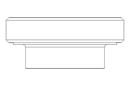 Schauglas DN 80 1.4404