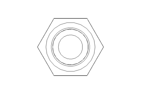 Hexagon screw M5x60 A2 70 ISO4017