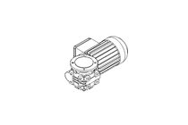 螺杆齿轮速电机 0,37kW 100 1/min