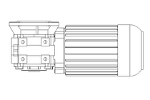 Schneckengetriebemotor 0,37kW 100 1/min