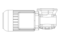 螺杆齿轮速电机 0,37kW 72 1/min