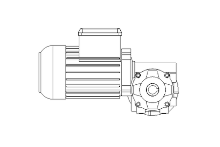 螺杆齿轮速电机 0,37kW 72 1/min