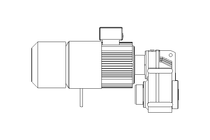 GEAR MOTOR