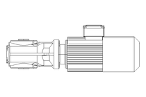 GEAR MOTOR