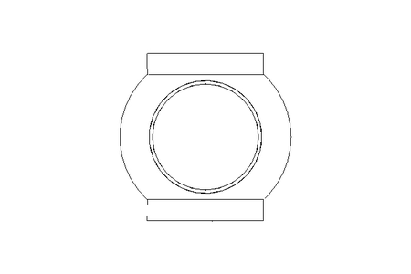 Schauglas DN 65 PN10 Varivent-TxIAN