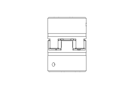 Rotex-Kupplung GS38