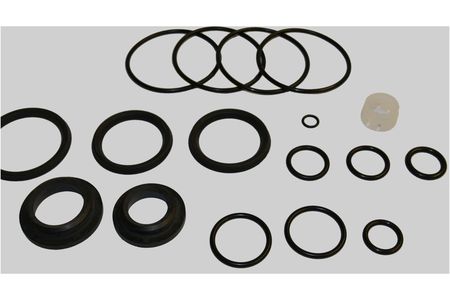 GASKET KIT D.C 50  EPDM  221-001025