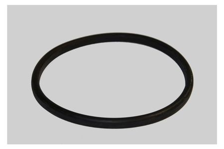 Junta de anillo G DN100 EPDM DIN11851