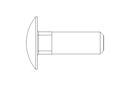 Vis à tête bombée M10x30 A2 DIN603