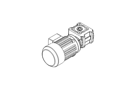 WORM GEAR MOTOR