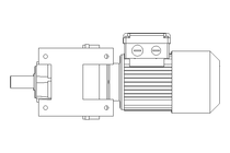 Motorid.ingranaggi cilind 0,25kW 19