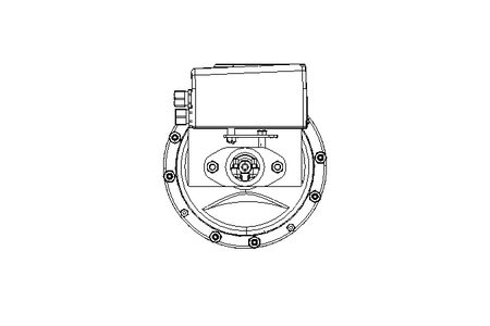 PNEUMATIC ACTUATOR