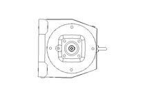 Spur gear