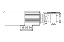 WORM GEAR MOTOR