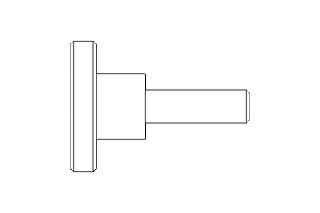 KNURLED SCREW  M 5 X 16 ST DIN 464