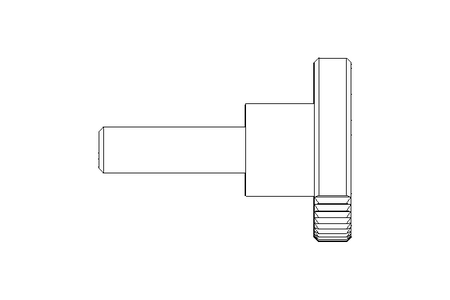 KNURLED SCREW  M 5 X 16 ST DIN 464