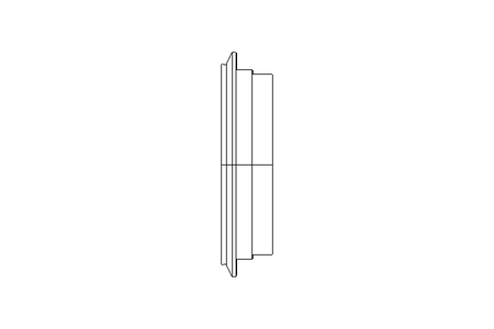 Inserto de metal-vidro inline Tam.2 DN40