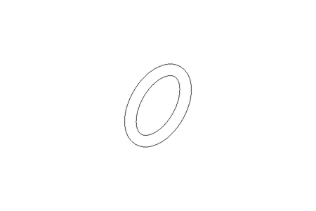 O-RING